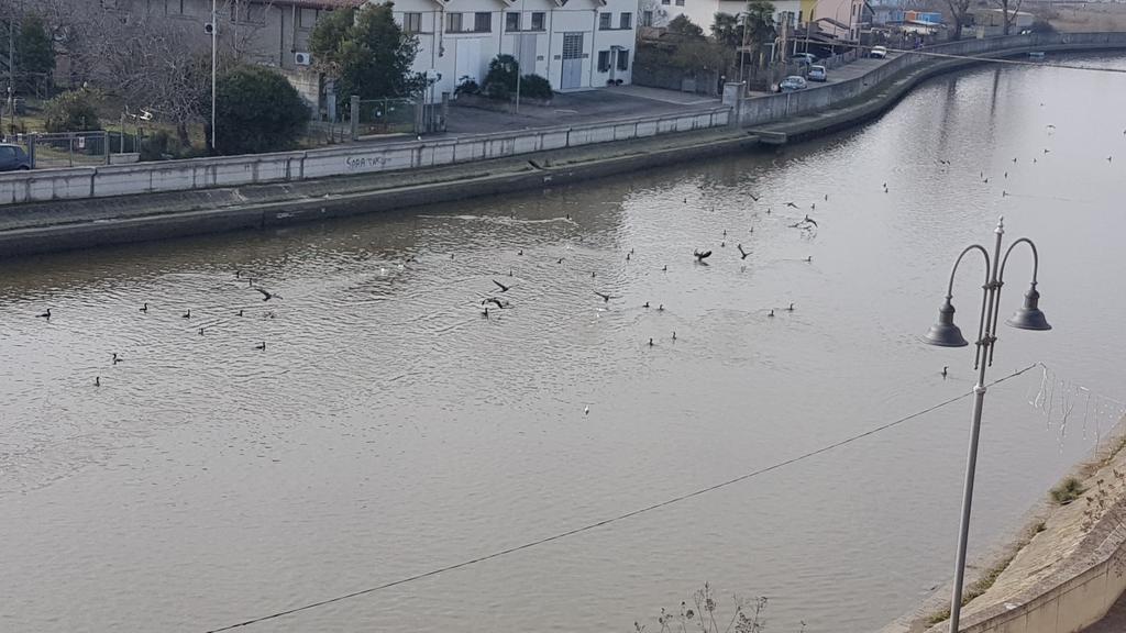 Palazzo Spada - Attico Con Terrazza Vista Fiume In Centro Codigoro Luaran gambar